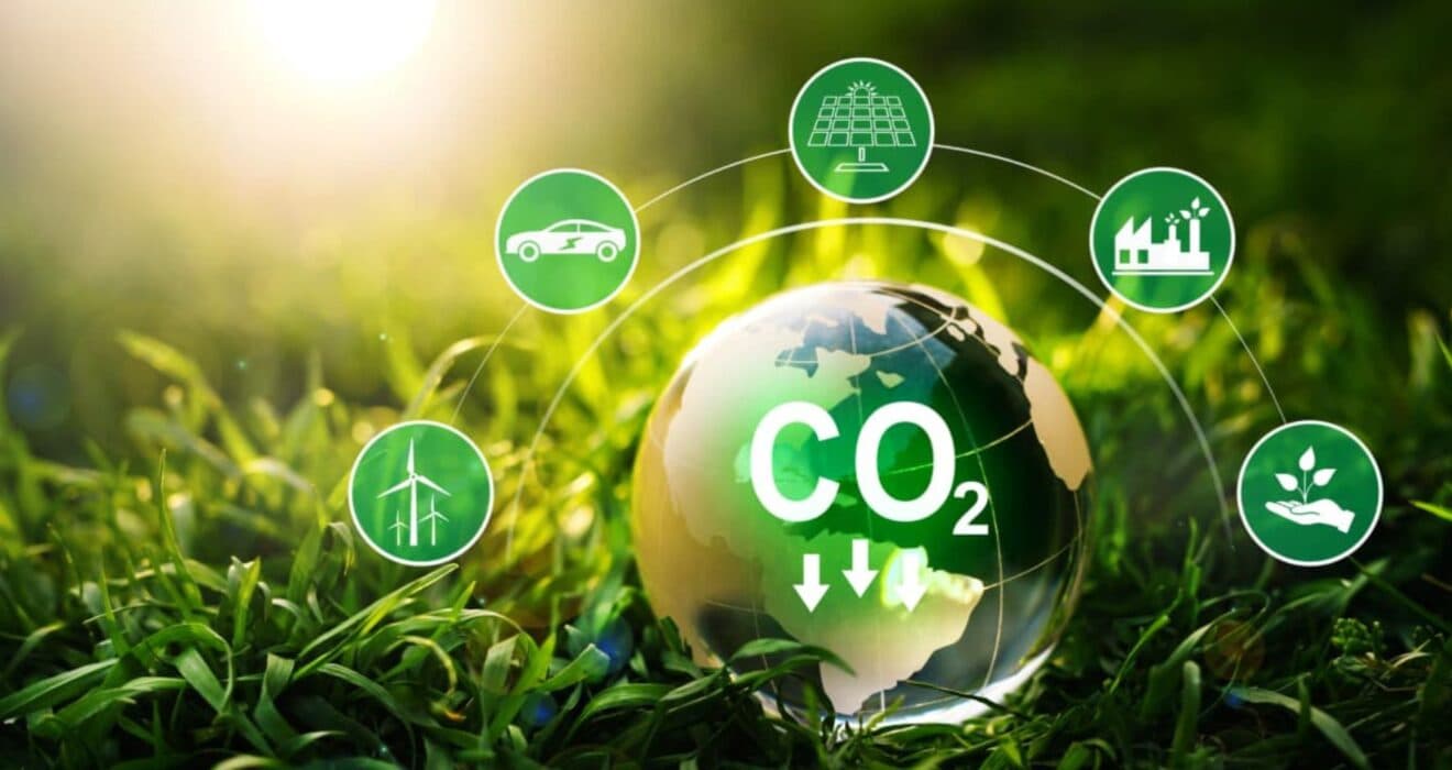 Simple Steps On How to reduce your carbon footprint!